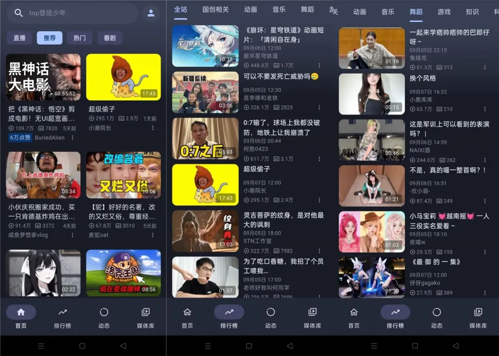 [亲测可用]PiliPal-B站第三方客户端（丝滑流畅）-八九源码网
