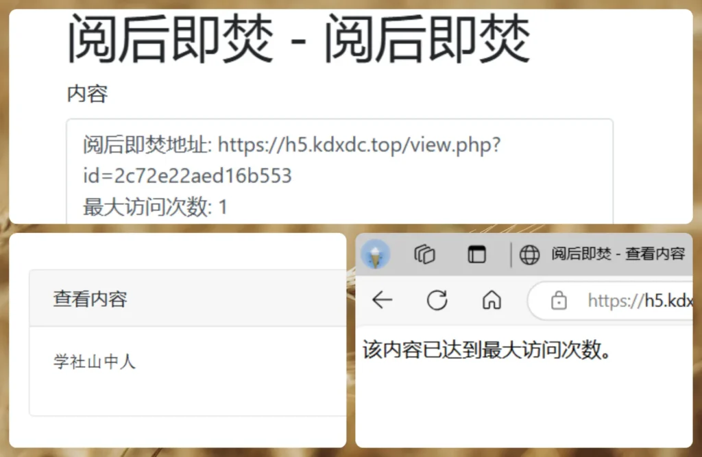[亲测可用]阅后即焚系统网站源码-八九源码网