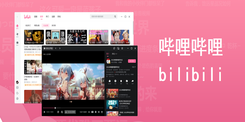 B站哔哩哔哩视频下载器-八九源码网