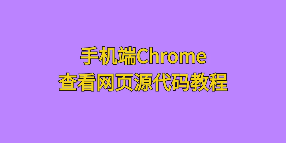 [亲测可用]手机端Chrome查看网页源代码-八九源码网
